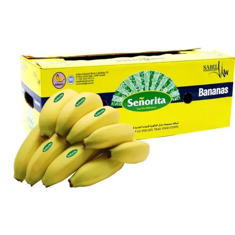 موز سنوريتا إكوادور علبة 2.5 كجم