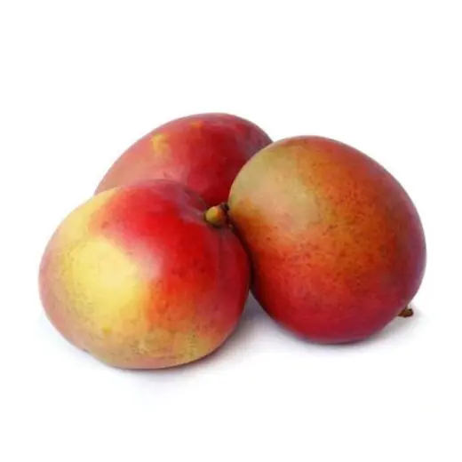 Galbator Mango Yemeni 1 كجم