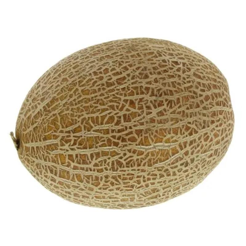 بطيخ حلو أردني 2 كجم