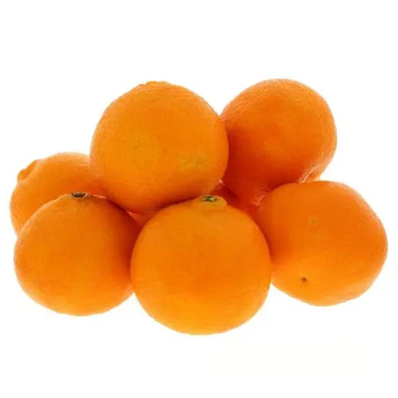 كلمنتينا مغربي 1 كجم