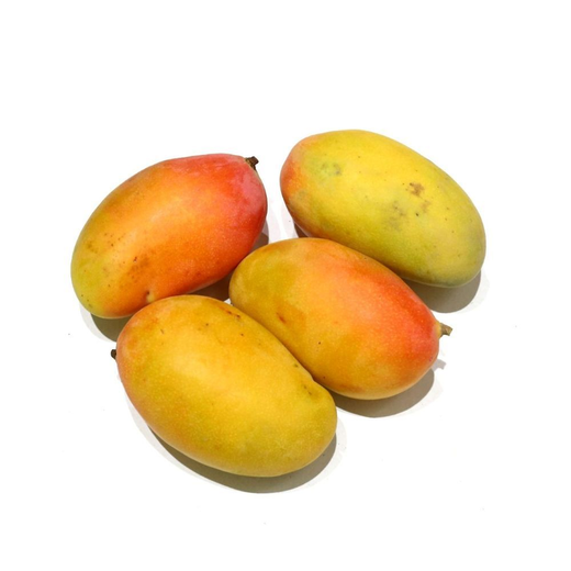 صندوق مانجو يمن تيمور