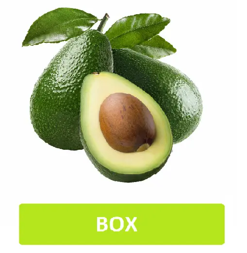 علبة أفوكادو 1.25 كيلو