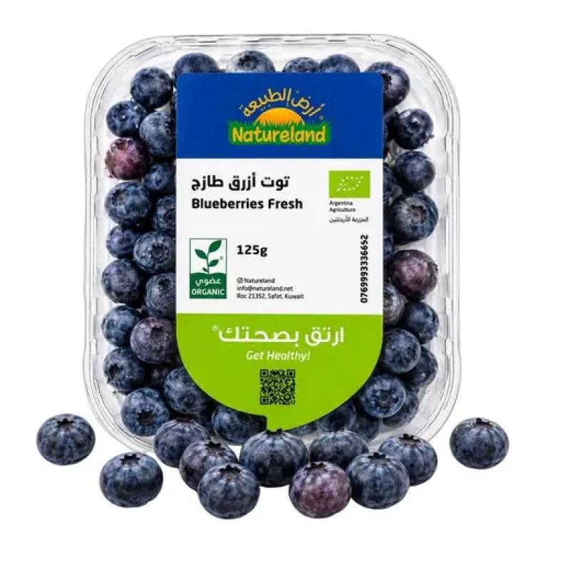 ارض الطبيعه توت أزرق 125 جرام