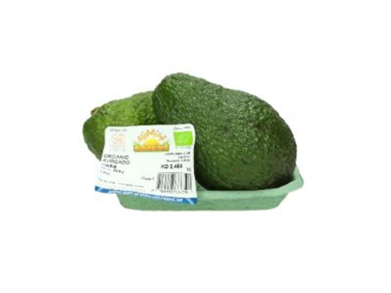 Natureland Avocado Hass Pack 2 قطعة