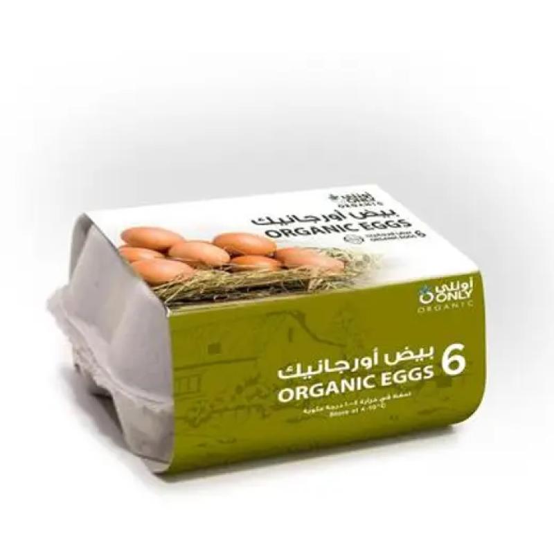 فقط بيض عضوي 6 قطع