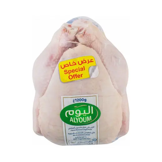اليوم دجاج طازج كامل، 1.2كيلوغرام