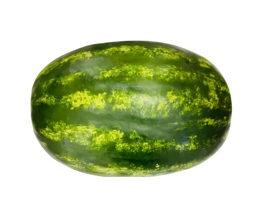 بطيخ عمان حوالي 8 كجم