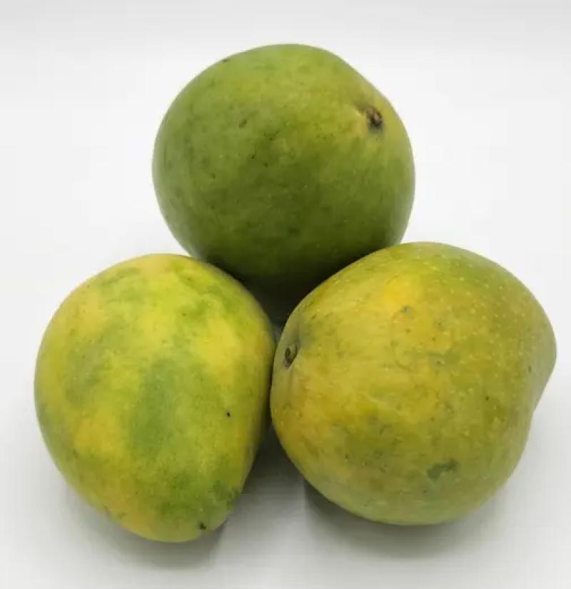 مانجو پاکستان کلو